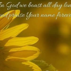 Meet your Posher, Annemarie